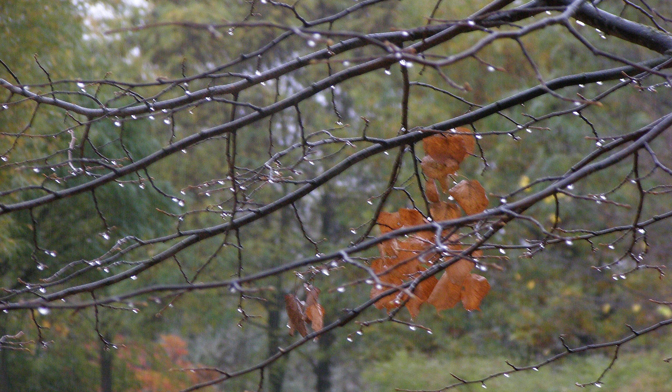 Prognoza pogody - 21 października