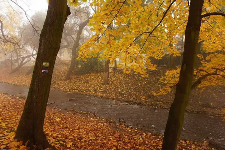 Prognoza pogody - 24 października